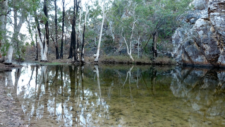 Butterfly Springs